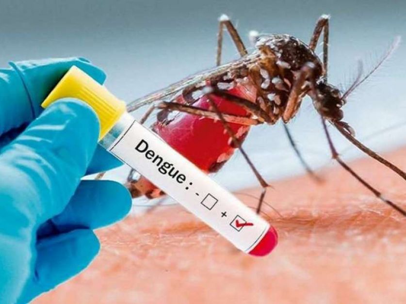 PLAN ESTRATÉGICO Dengue