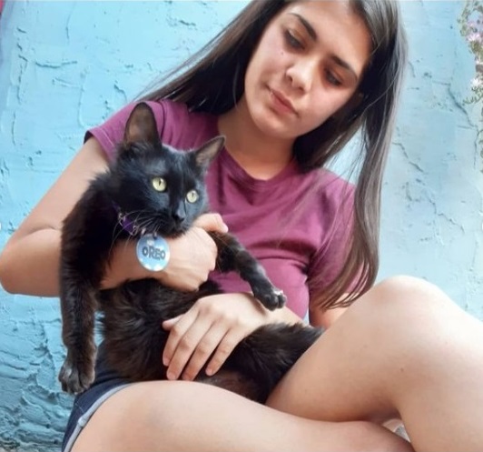 Gato Después Refugio