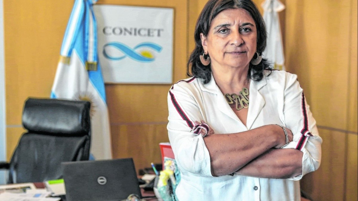 CONICET investigaciones 63 años