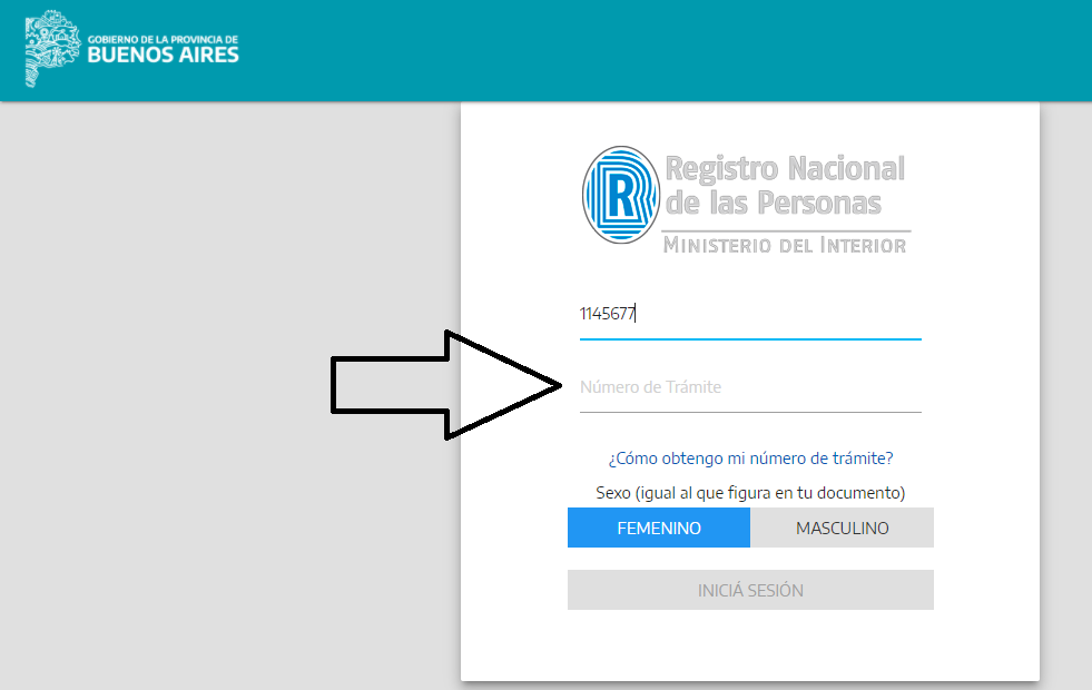 vacunate Buenos Aires turno