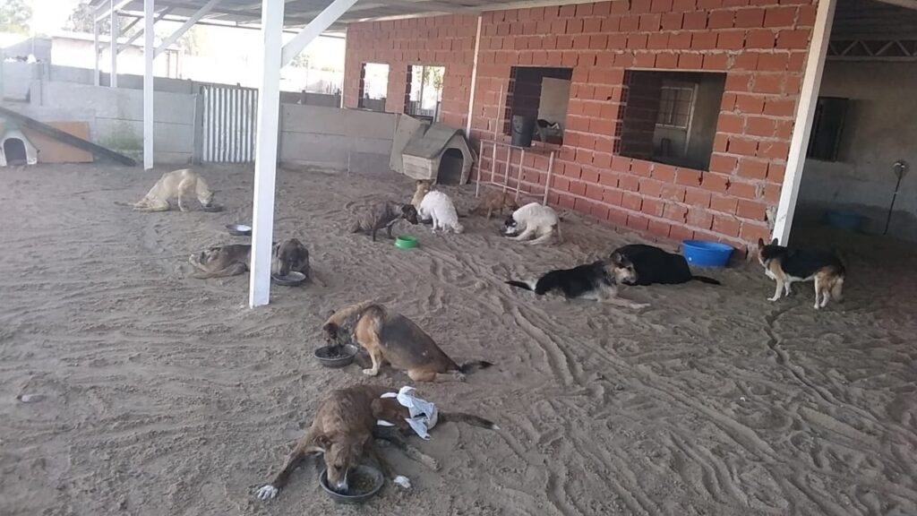 Refugio Renatas deuda