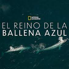 fin de semana series películas