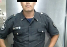 Virrey del Pino