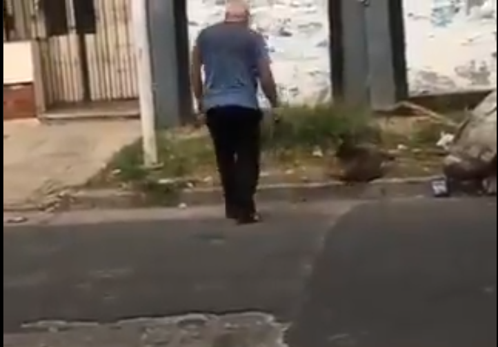 san justo perro
