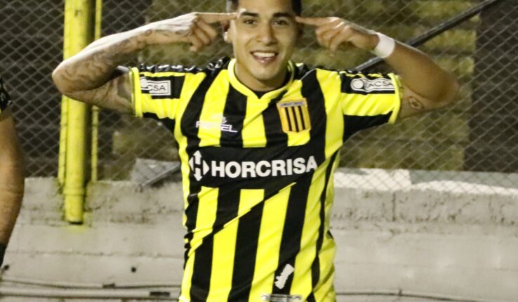 Almirante Brown Agropecuario