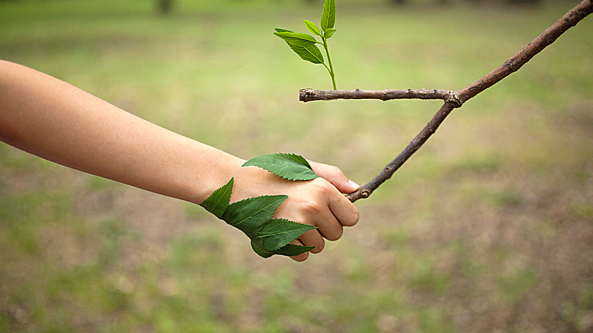 Dia Mundial del Medio Ambiente: ¿Cómo contribuir con el reciclaje en La Matanza?