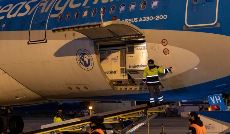 España dosis Argentina