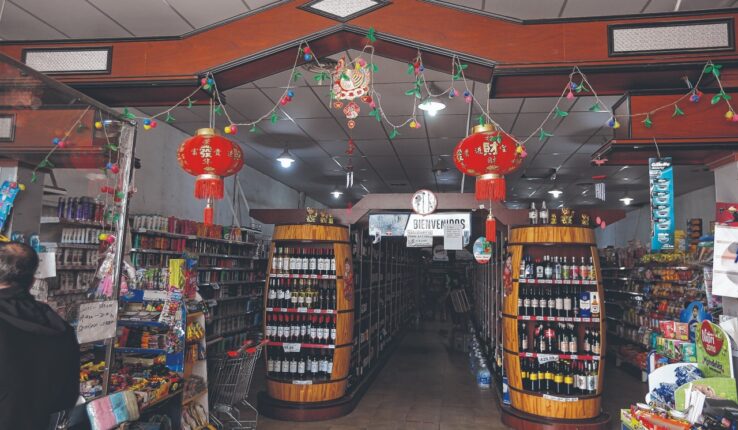 Villa Luzuriaga mafia china