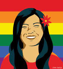 Ley Diana Sacayán