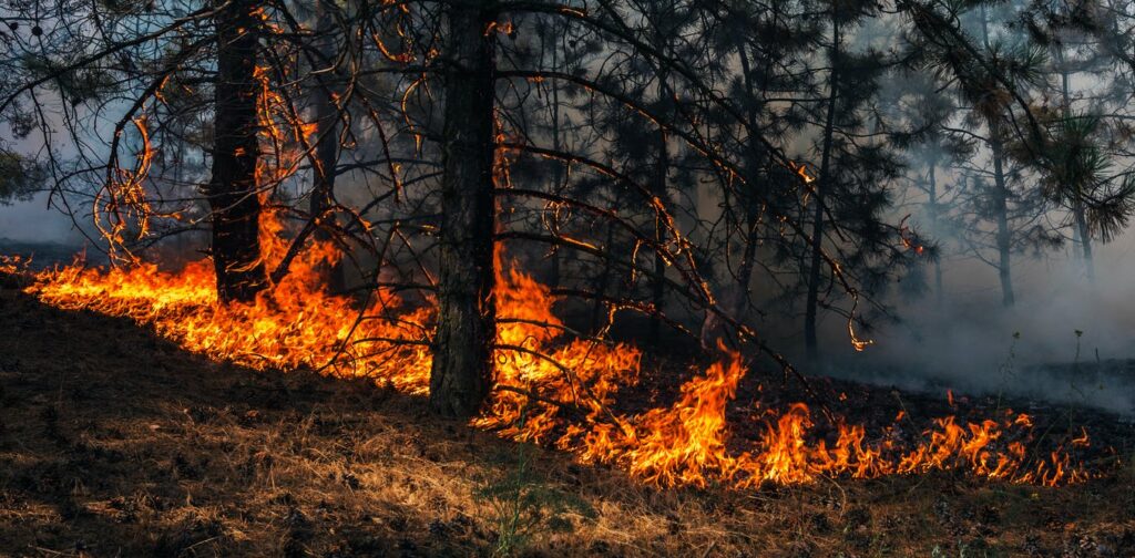 ONU calentamiento global