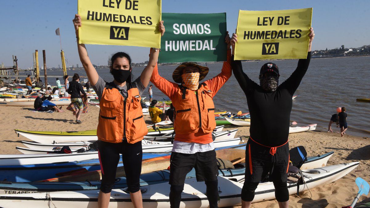 Ley de humedales en Argentina