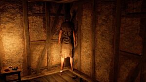 desarrolladora indie steam