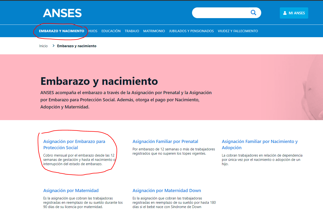 anses 