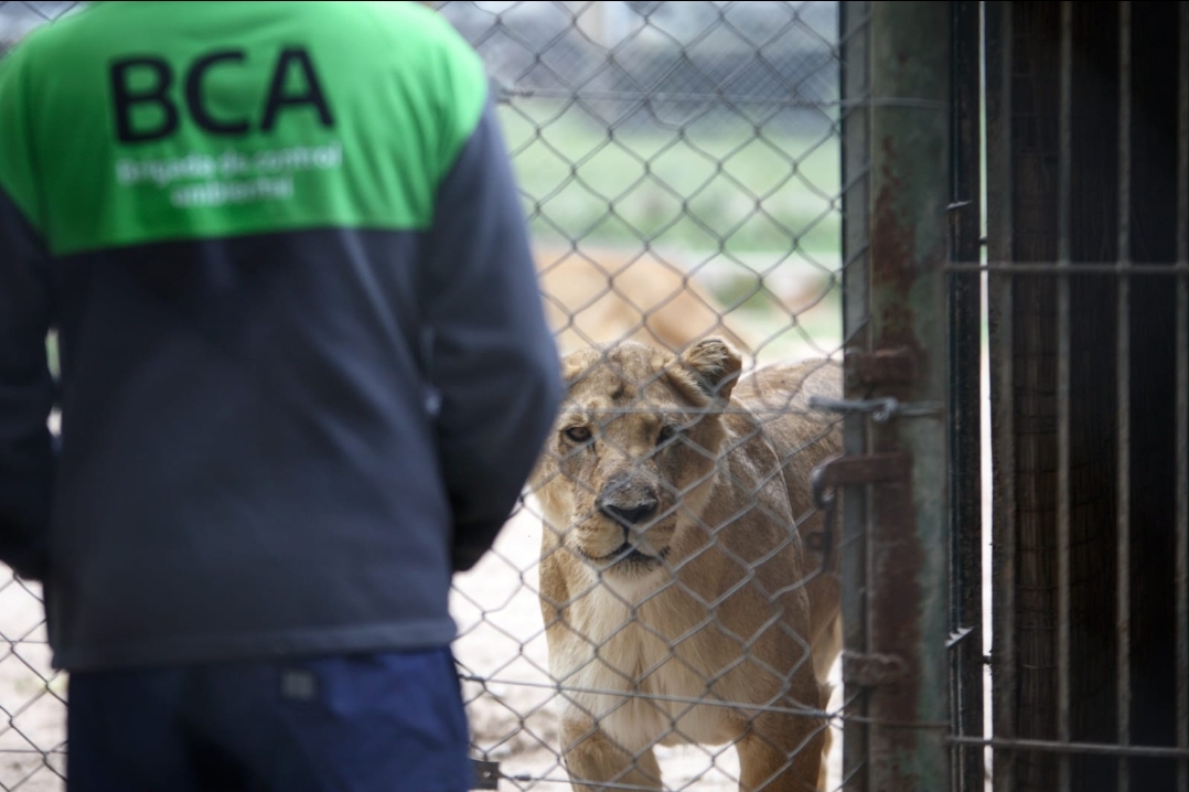 El Ministerio de Ambiente volvió a inspeccionar el Zoológico de Luján ante nuevas denuncias 