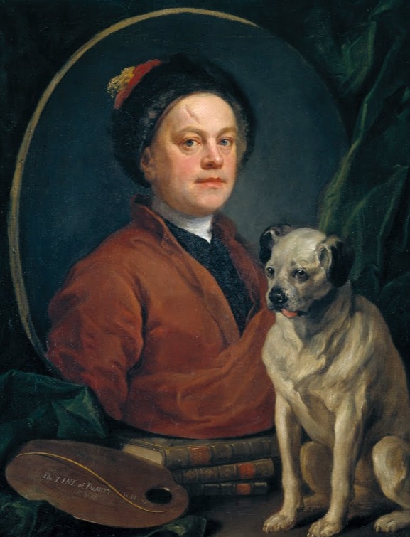 Pets portraits mascotas