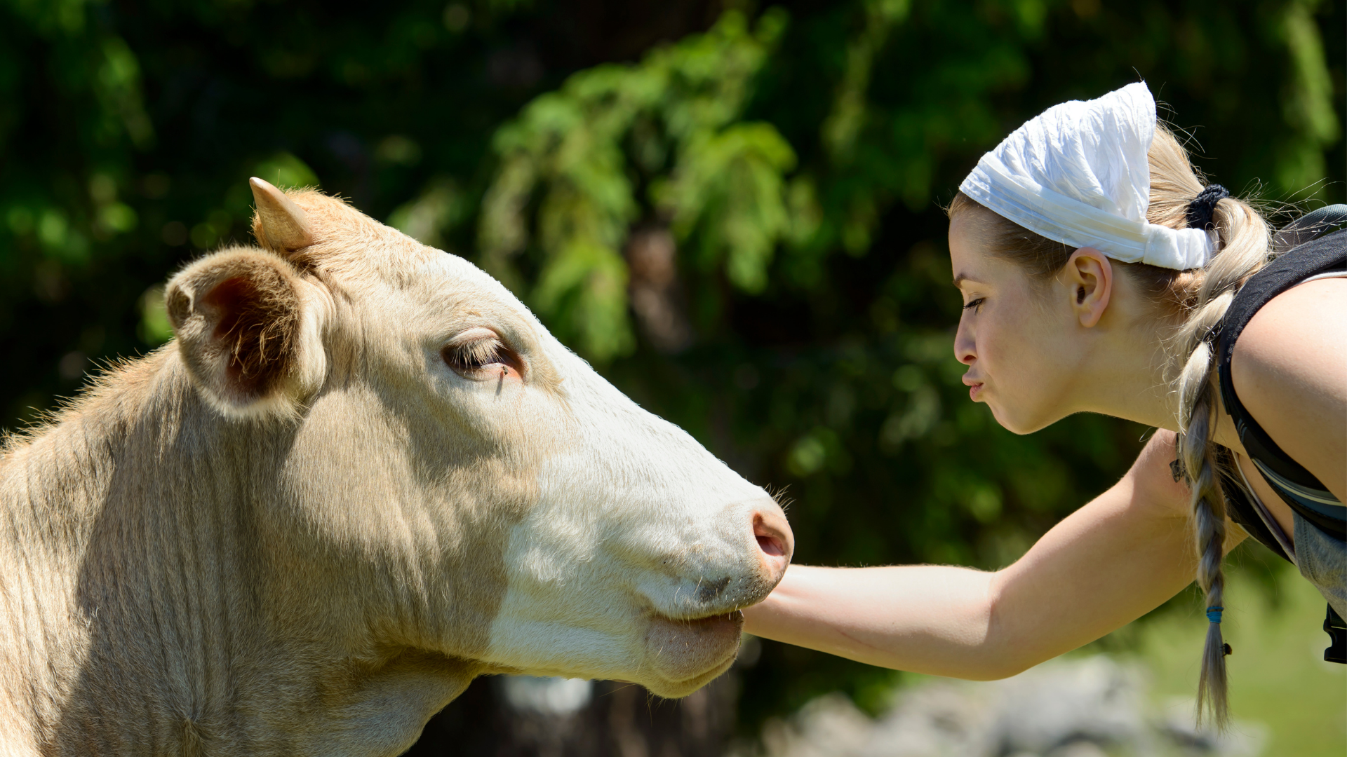 Veganismo: Ventajas y Desventajas de un estilo de vida