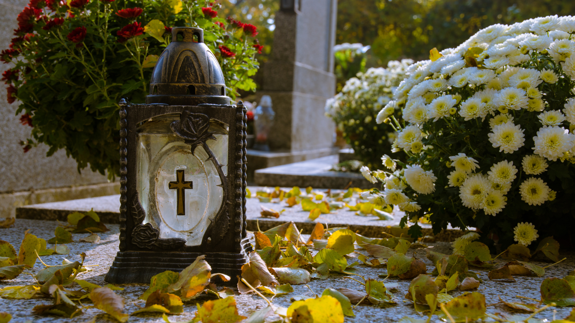 Día de todos los santos