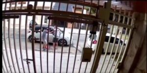 robo piraña Lomas Mirador