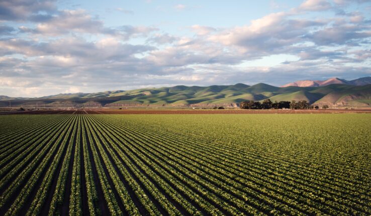 producción agrícola impacto ambiental
