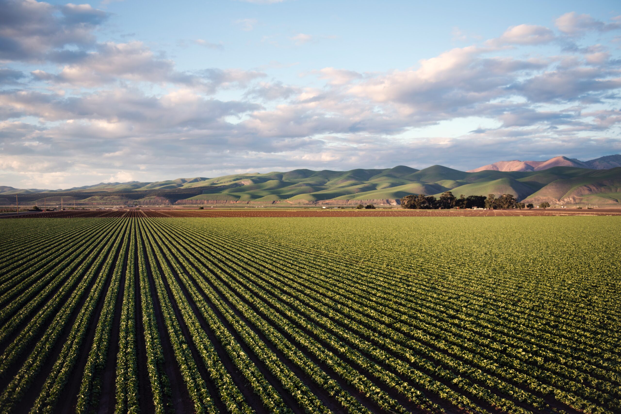 La producción agrícola y su impacto ambiental