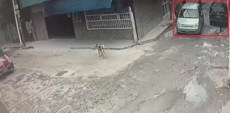 VILLA CELINA: Un policía mató a presunto ladrón (Vídeo)