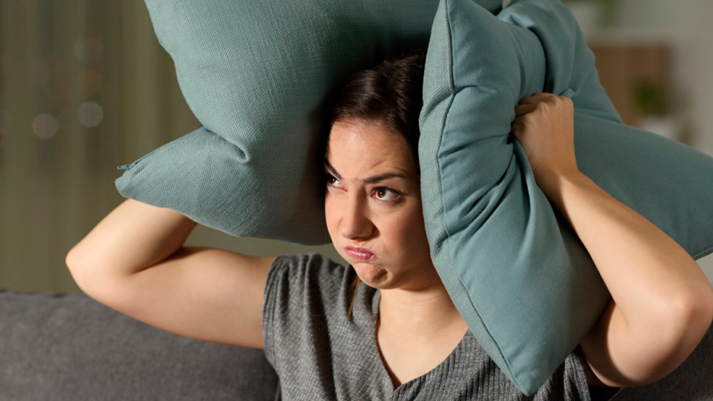 ruidos molestos La Matanza