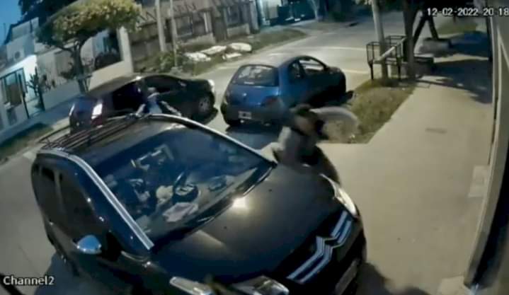 luzuriaga dispararon video hijo
