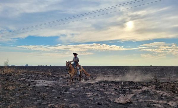 (tema: Corrientes incendios)