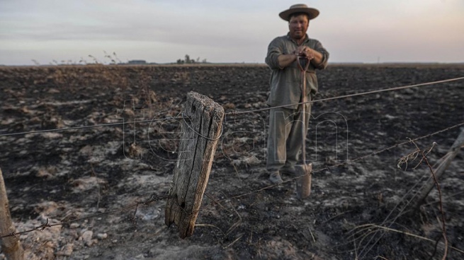 (tema: Corrientes incendios)