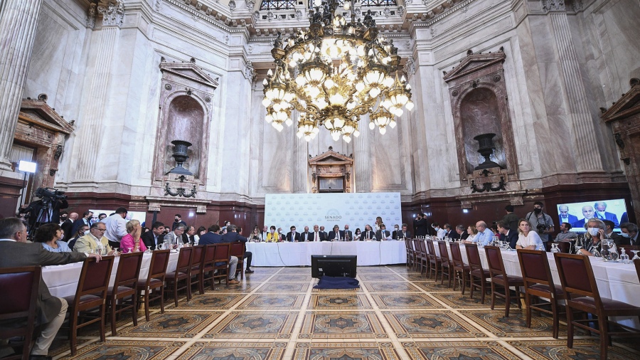 Senado – FMI: Continúa el debate en comisión