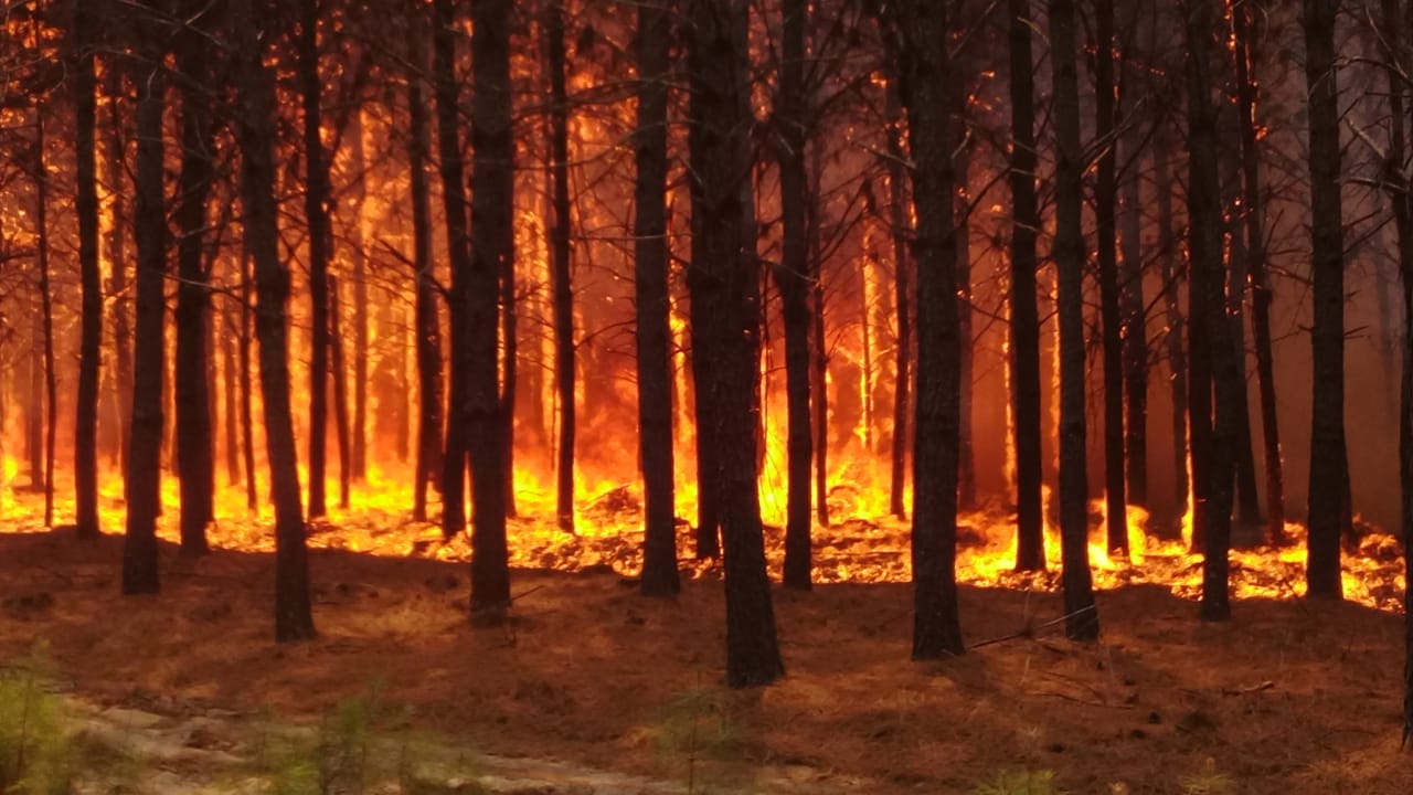 INCENDIOS EN CORRIENTES: Consecuencias de la catástrofe para el país