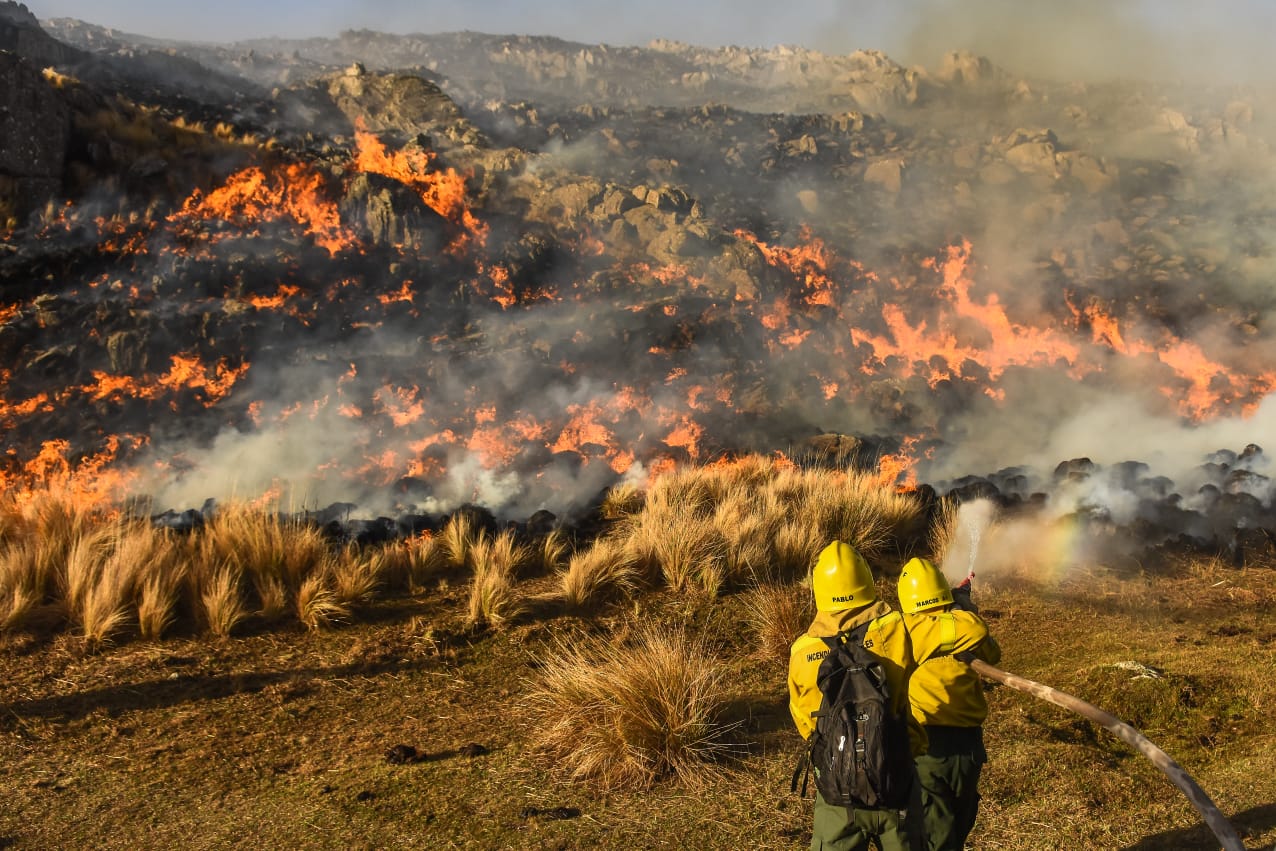 Corrientes: Retrato de la provincia tras los incendios (entrevista)