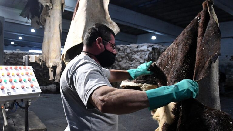 economía industria creció