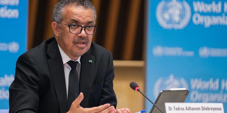 La OMS dijo que los casos de viruela del mono podrían ser la “punta del iceberg”