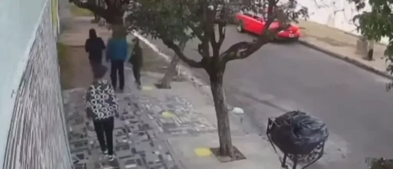 casanova pirañas docentes