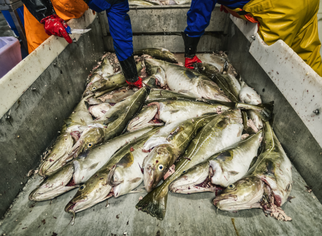 SOBREPESCA