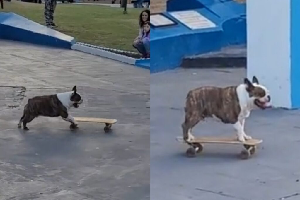 Noticias Más Bizarras