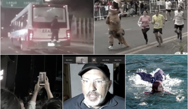 Noticias Bizarras Semana