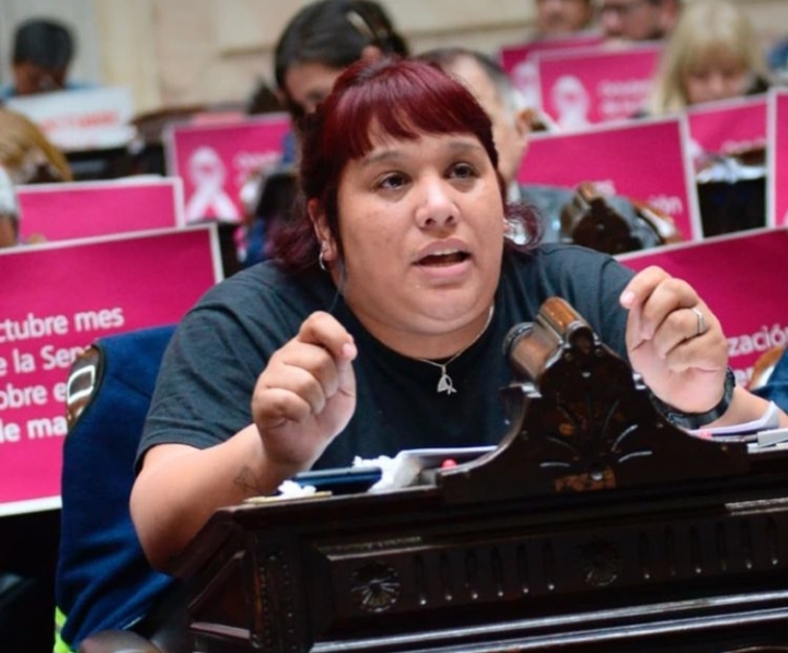 Barrios Populares Desalojos Ley