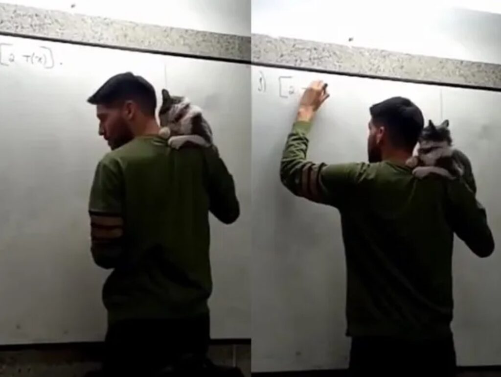 Noticias Más Bizarras Semana