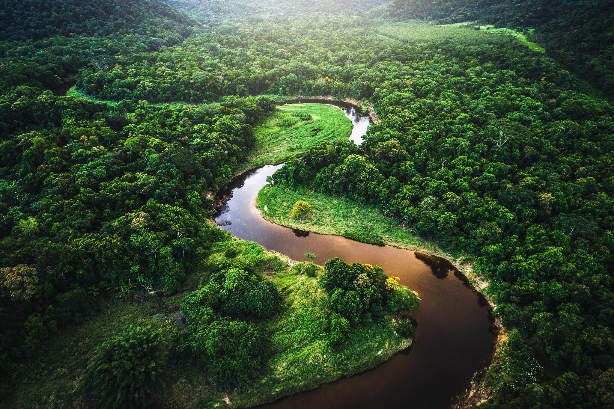 Latinoamérica es la región con mayor pérdida de biodiversidad