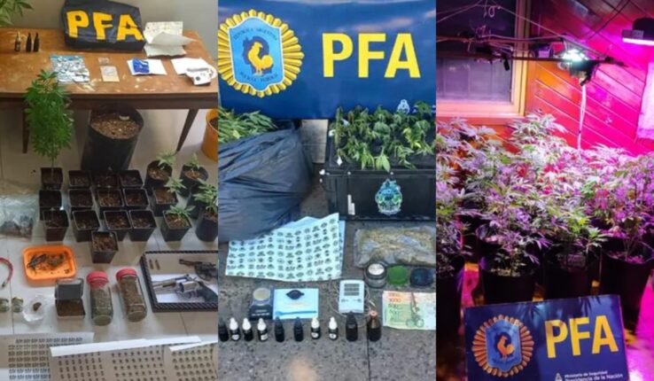 Conurbano Organización Drogas Diseño