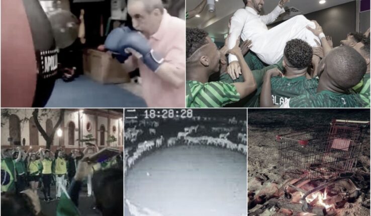 Información Noticias Más Bizarras Semana