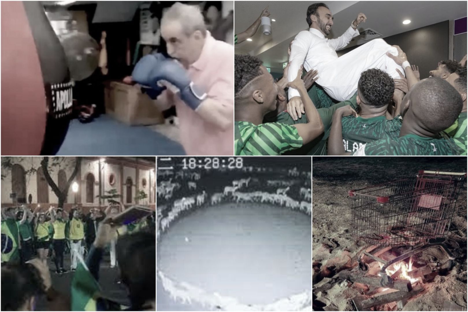 Información Segura #17: Las 5 noticias más bizarras de la semana