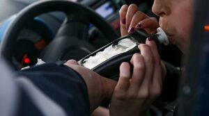 Diputados Alcohol Cero