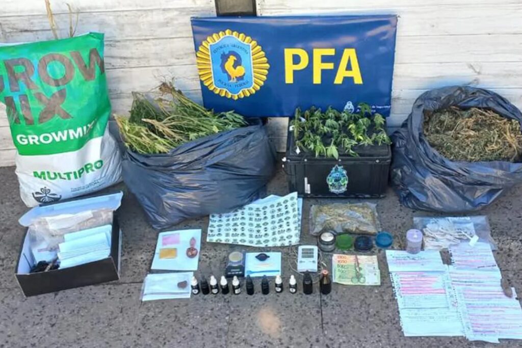 Conurbano Organización Drogas Diseño