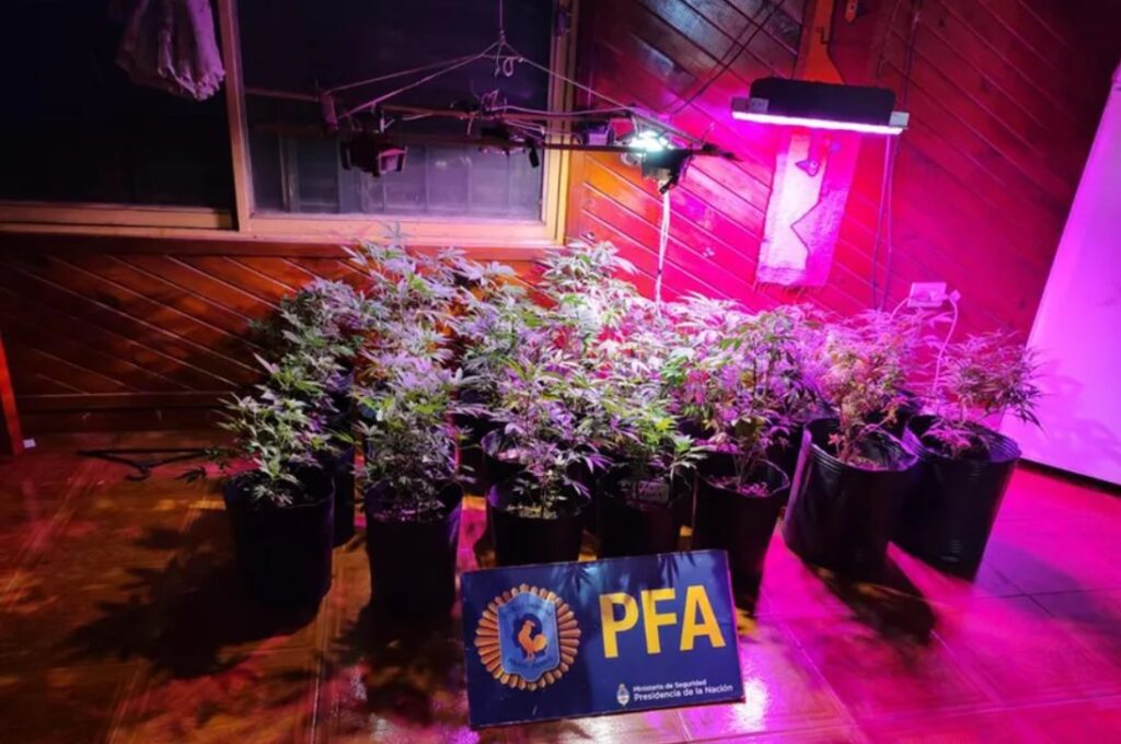 Conurbano Organización Drogas Diseño