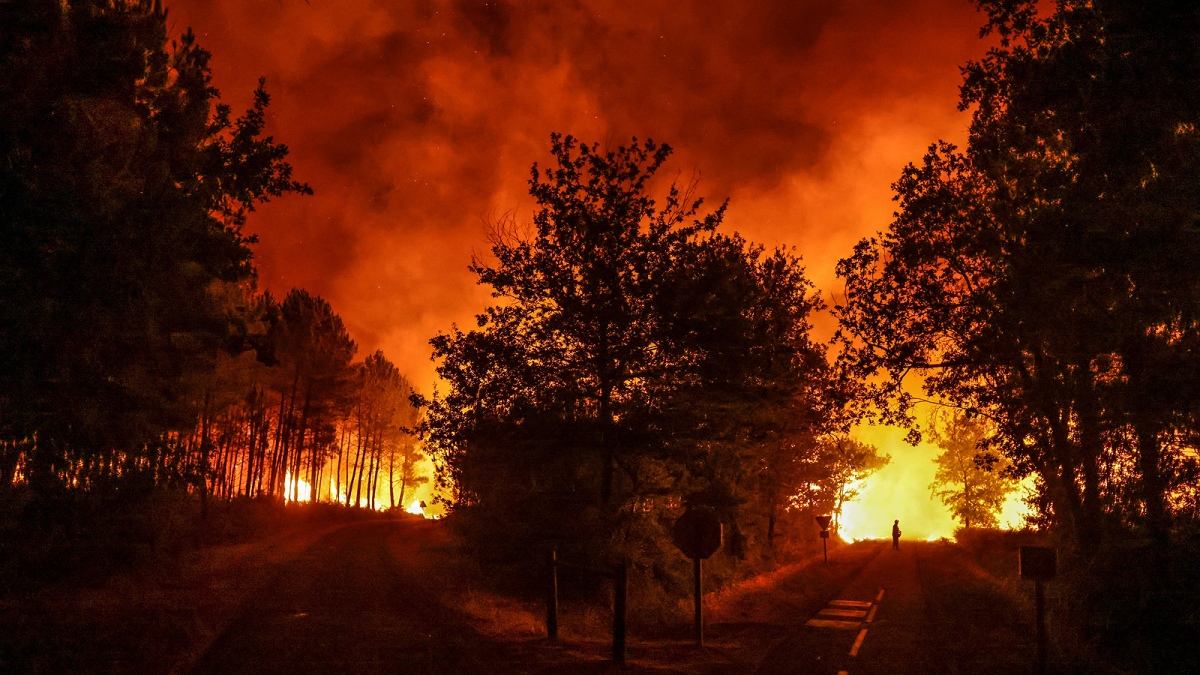 Medioambiente: ¿Cuáles fueron los problemas ecológicos más grandes de 2022 en Argentina?