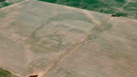 Messi Rostro Campo