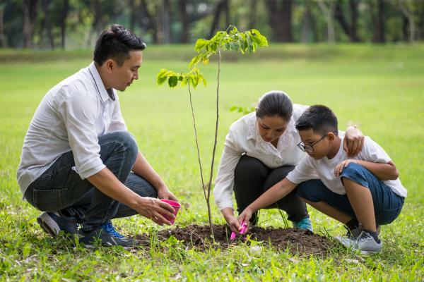 Día de la educación ambiental : ¿Cuáles son las mayores problemáticas de Argentina?